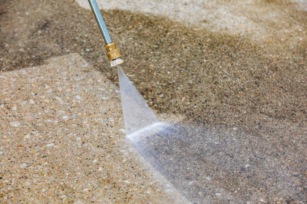 Best Winterizing Services  in Hamlin, WV